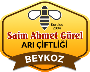 logo main